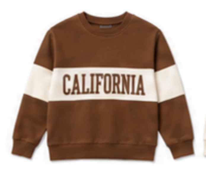 California graphic sweatshirt, brown colourblock