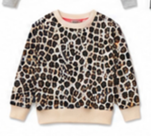 Leopard print crewneck sweatshirt