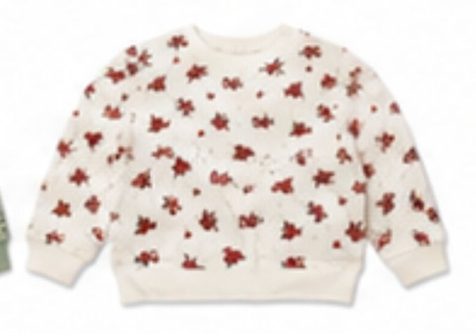 Ditsy floral crewneck sweatshirt